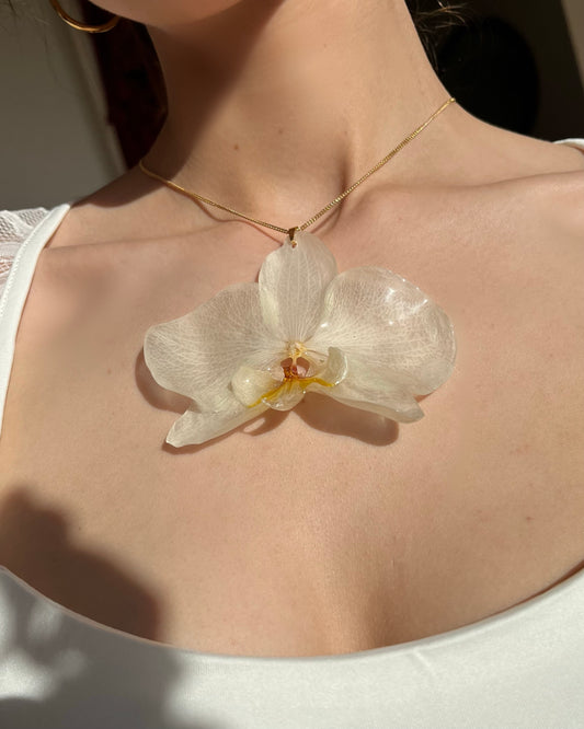 Halo Bloom