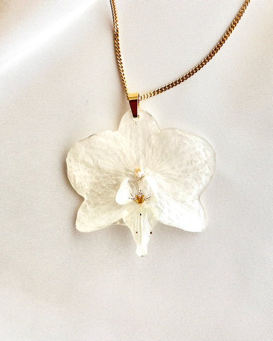 Ivory Orchid