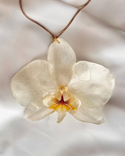 Halo Bloom