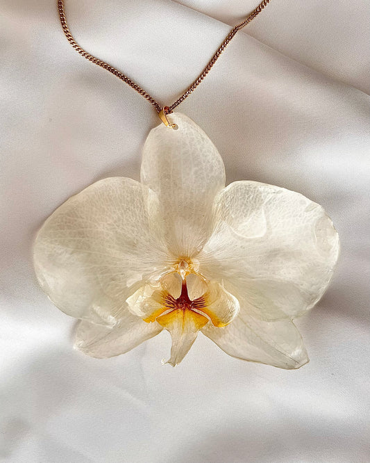 Halo Bloom