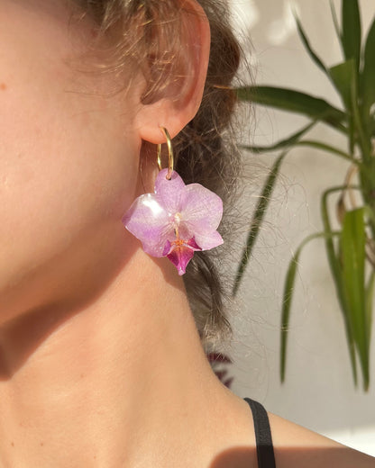 Ethereal Orchids