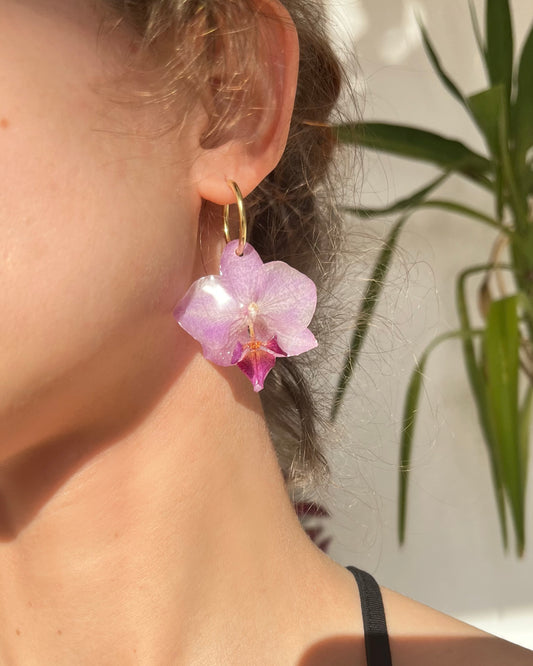 Ethereal Orchids