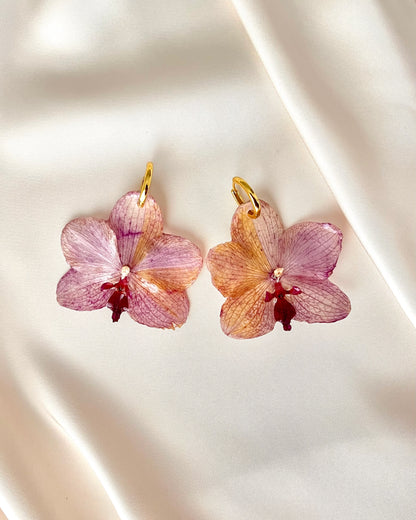 Golden Orchids