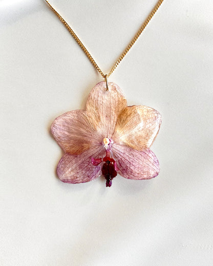 Golden Orchid