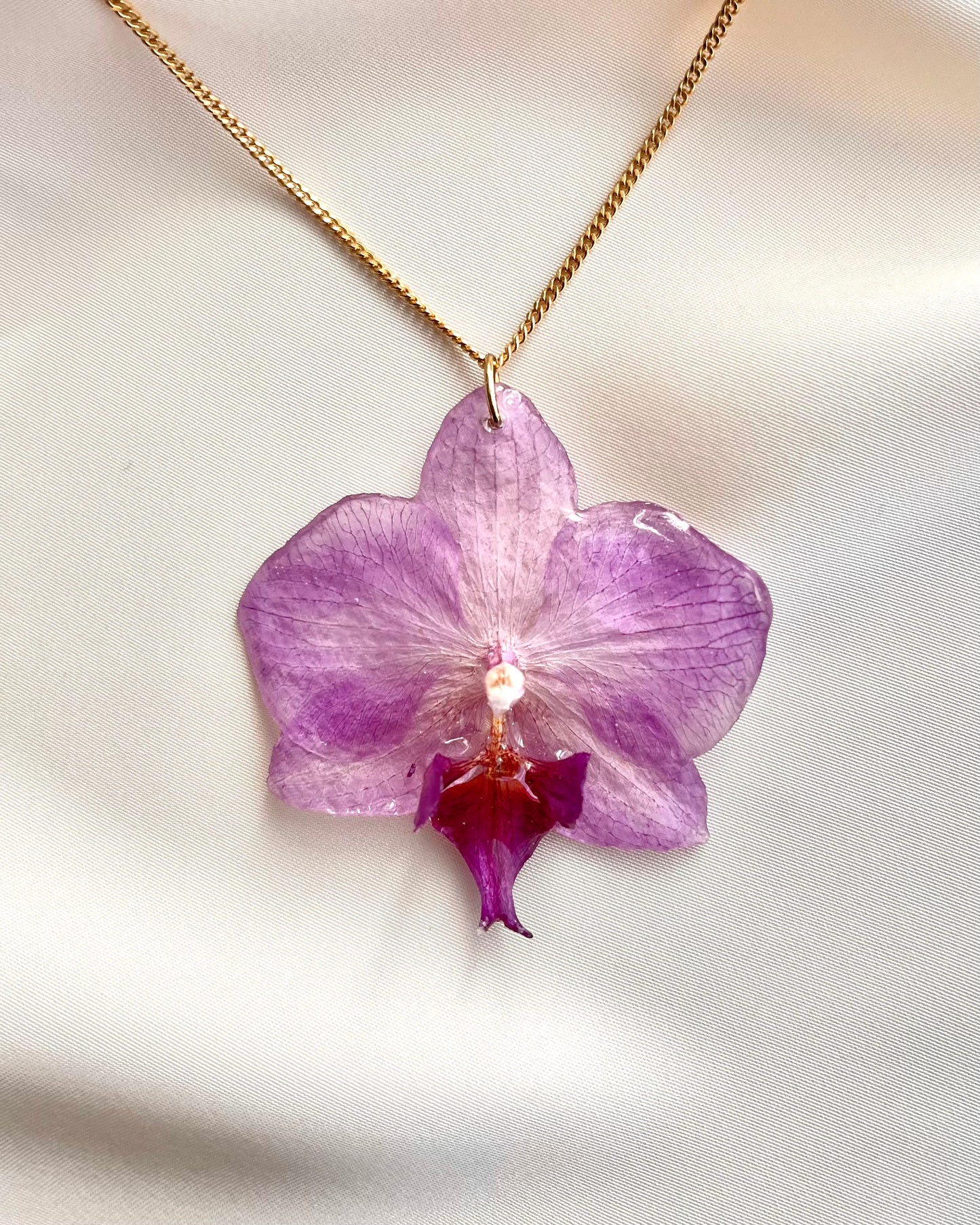 Ethereal Orchid