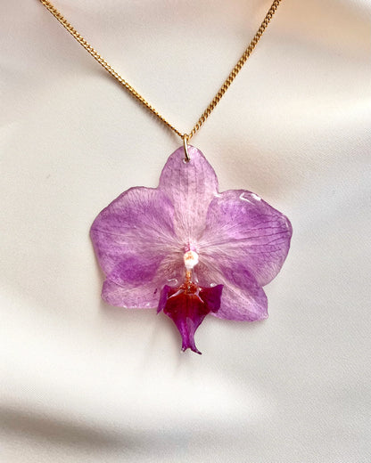 Ethereal Orchid