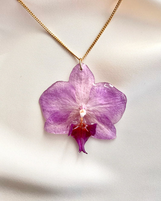 Ethereal Orchid