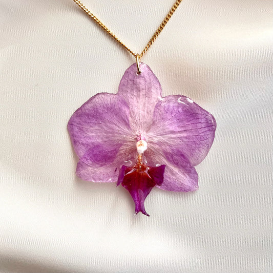 Ethereal Orchid