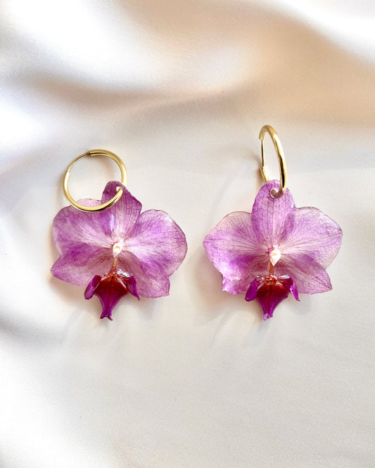 Ethereal Orchids