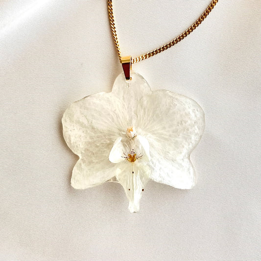 Ivory Orchid