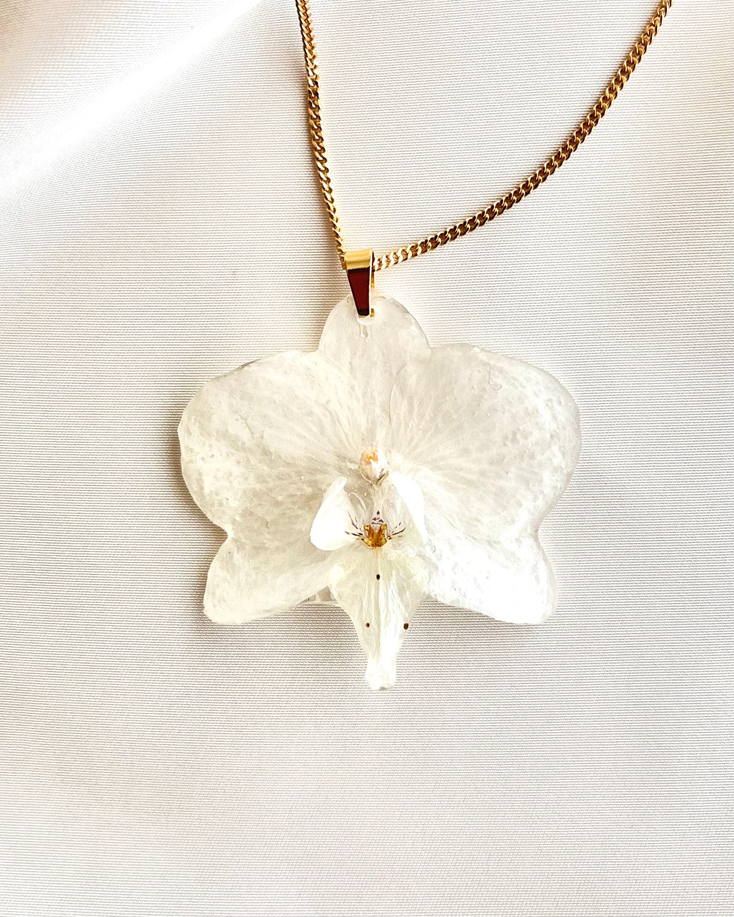 Ivory Orchid