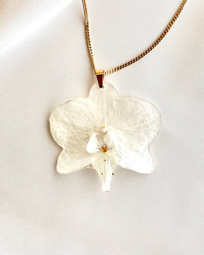Ivory Orchid