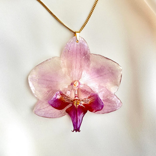 Rosé Veil Orchid