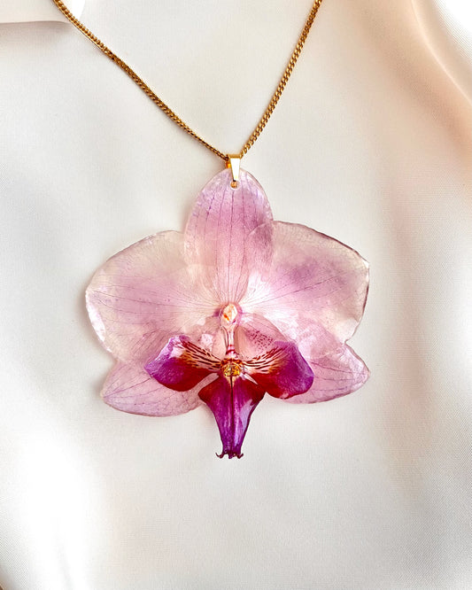 Rosé Veil Orchid