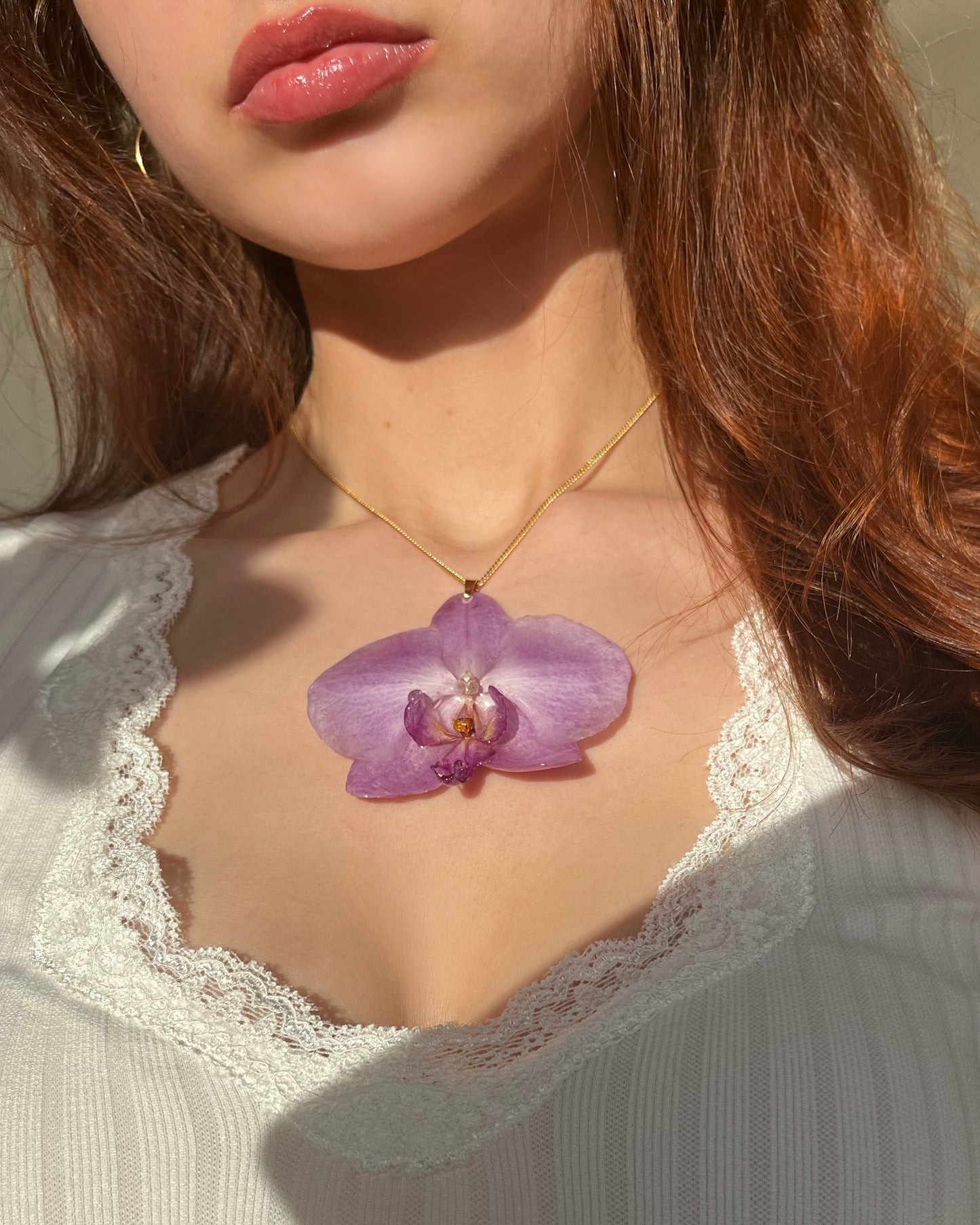 Royal Orchid